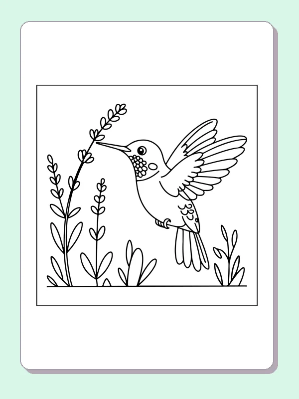Hummingbird with open wings beside tall seed stalks