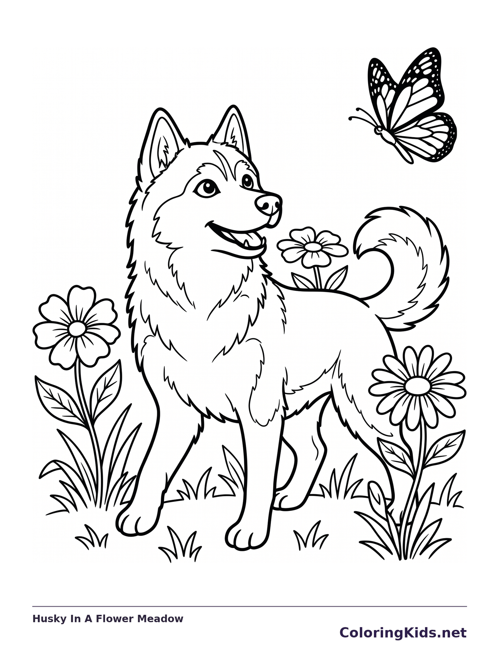 Husky standing among flowers and watching a butterfly