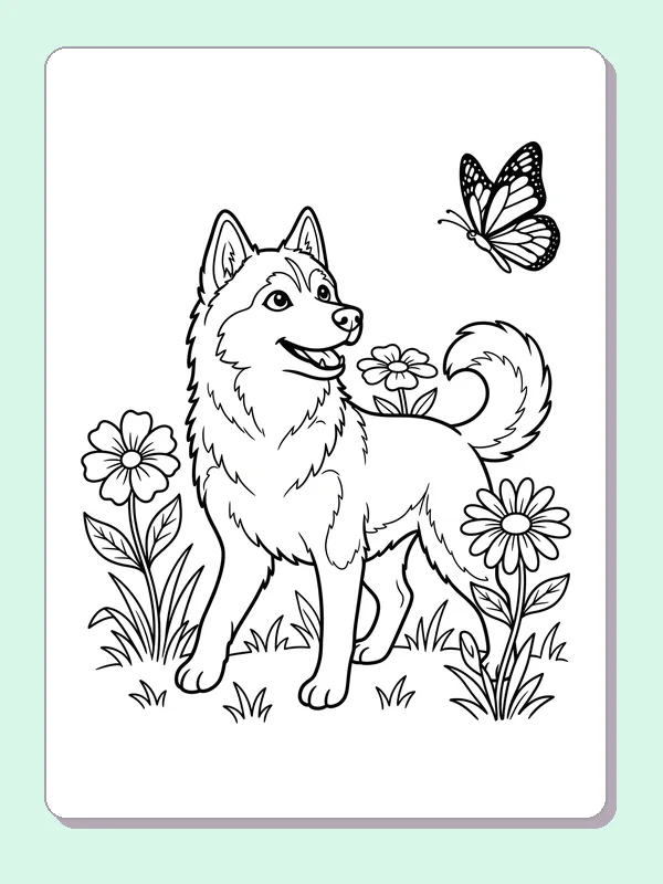 Husky standing among flowers and watching a butterfly