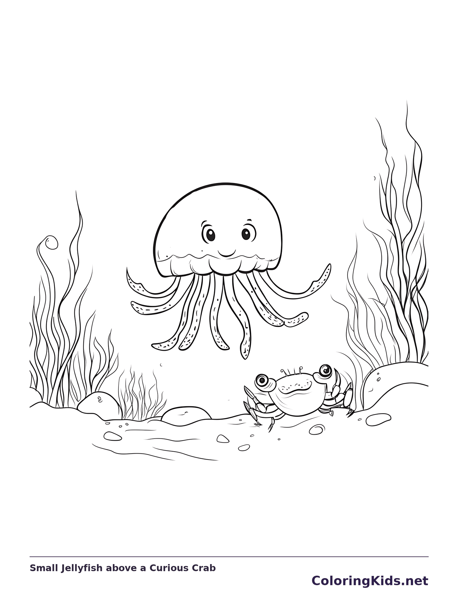 Black and white printable drawing of small jellyfish floating above a crab and seabed plants