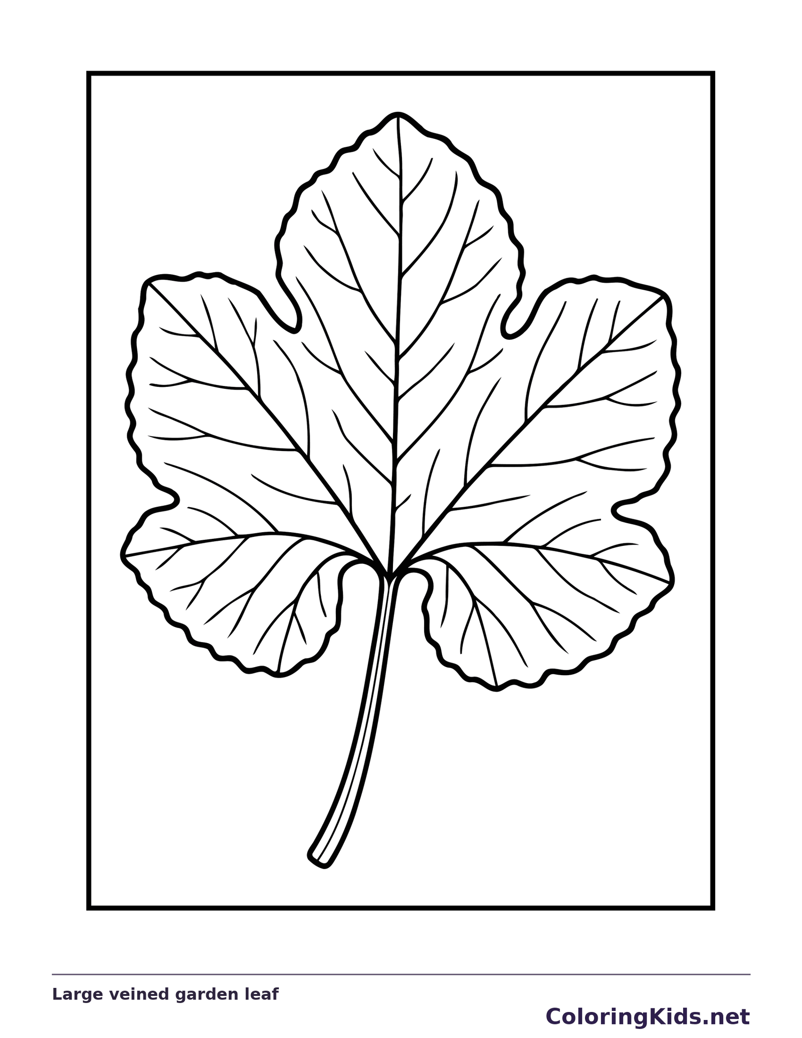 Black and white printable large veined garden leaf coloring sheet