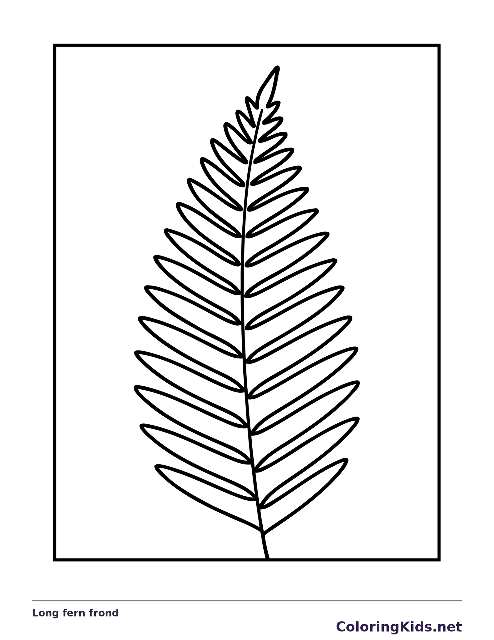 Black and white printable long fern frond coloring sheet