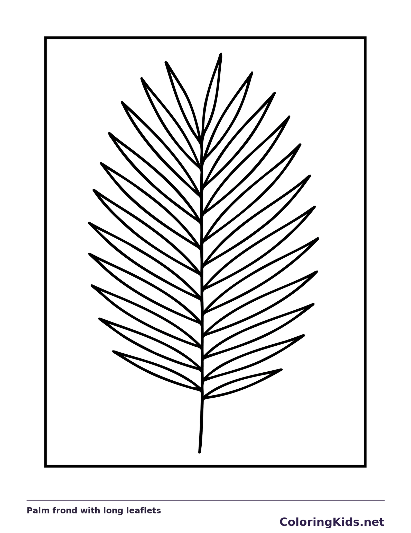 Black and white printable palm frond with long leaflets coloring sheet