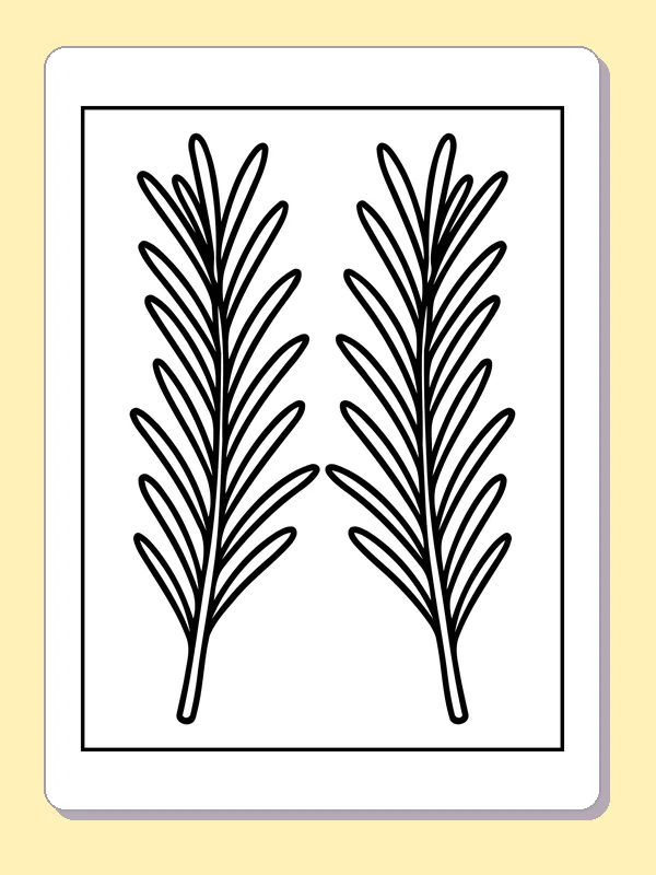 Black and white printable two narrow evergreen sprigs coloring sheet