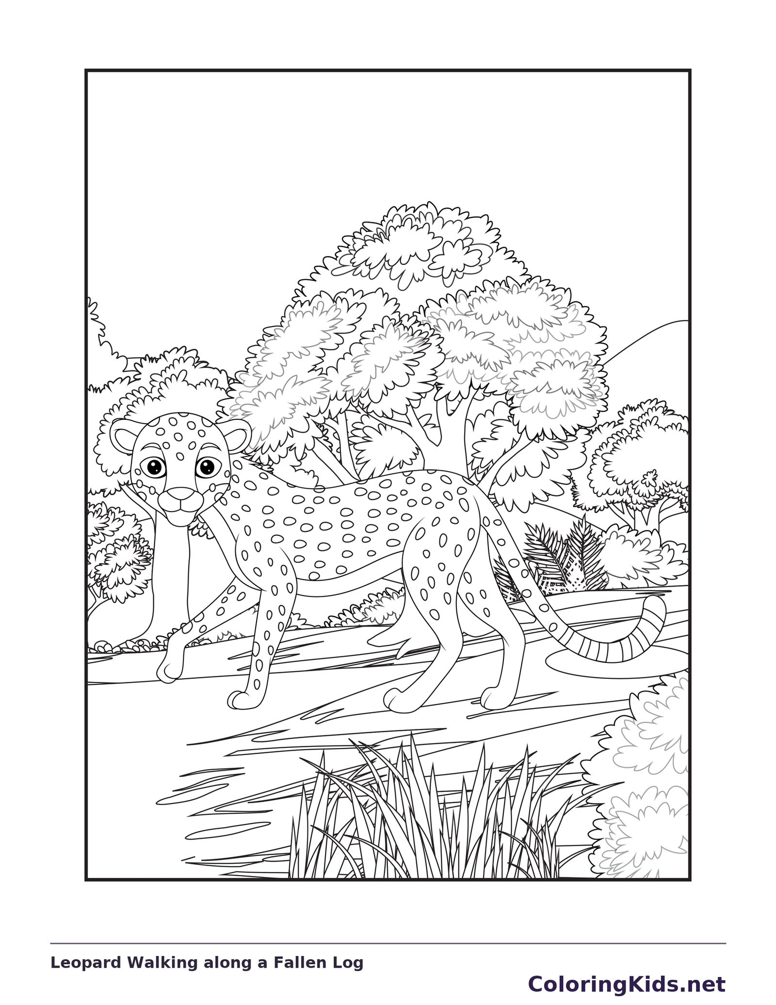 Black and white printable leopard coloring page of a Leopard walking along a fallen log among dense woodland plants