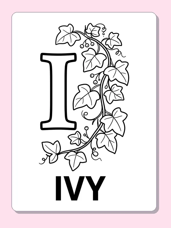 A winding ivy vine climbs beside I, with many differently shaped leaves and a solid IVY label