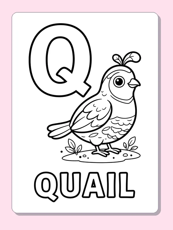 A round quail stands beside a large Q above the printed word QUAIL, with feathers and tiny ground details to color