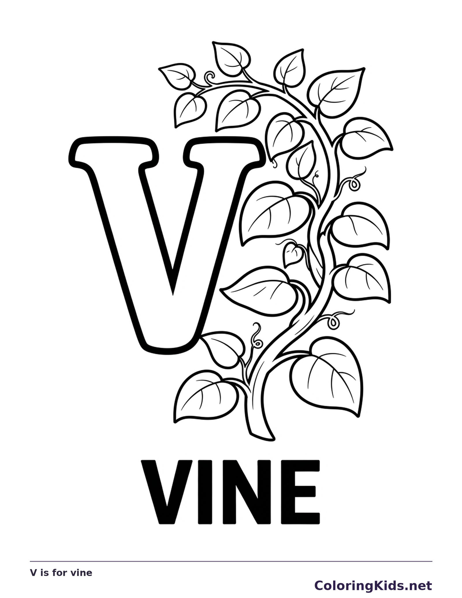 A climbing vine curls around V, with clusters of leaves and round fruit along its stem