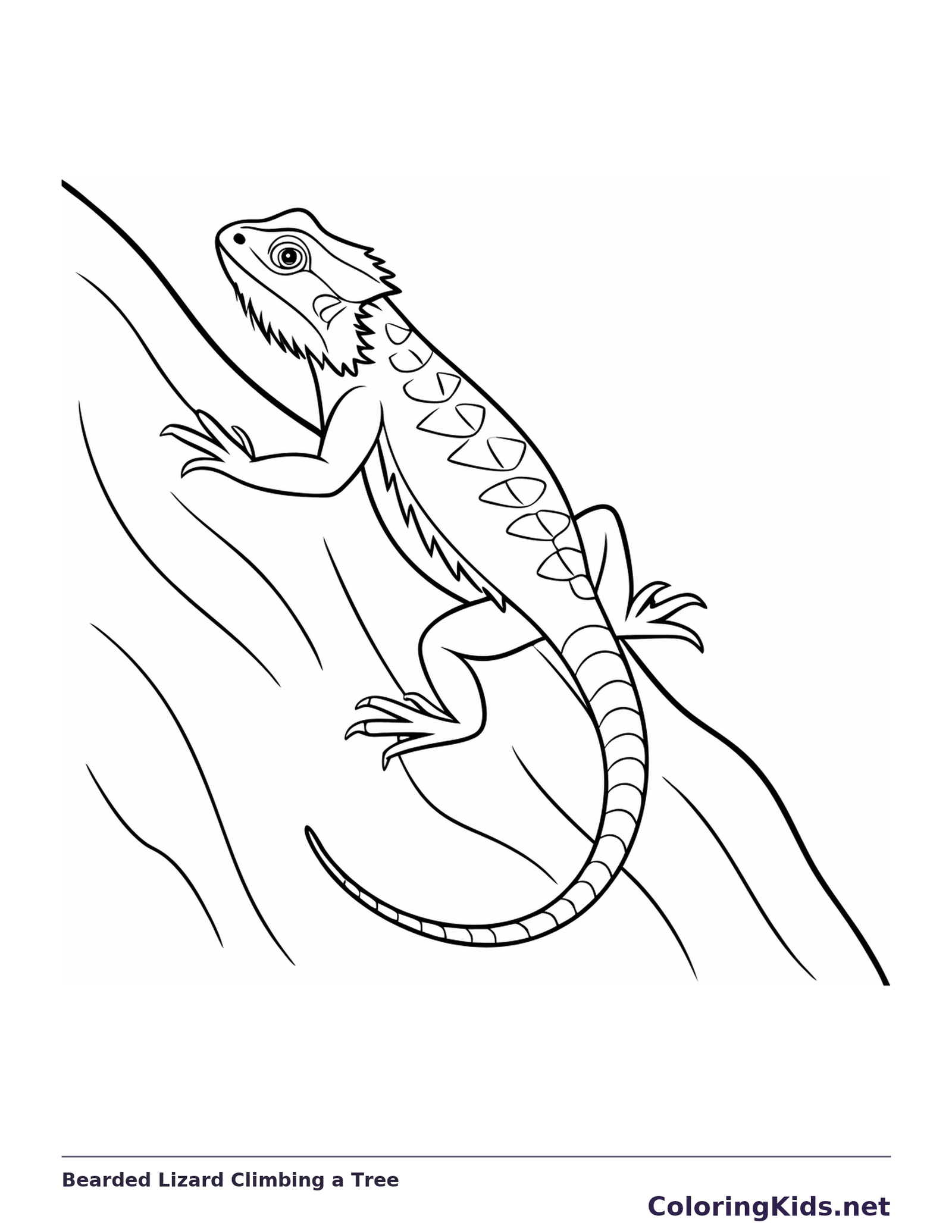 Black and white printable bearded lizard climbing a tree coloring sheet