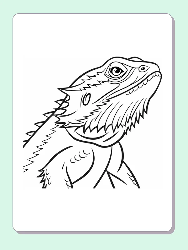 Black and white printable close-up of a bearded lizard coloring sheet