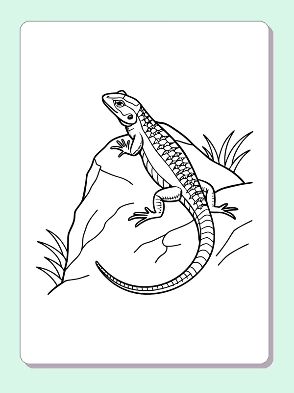 Black and white printable diamond-patterned lizard on stone coloring sheet