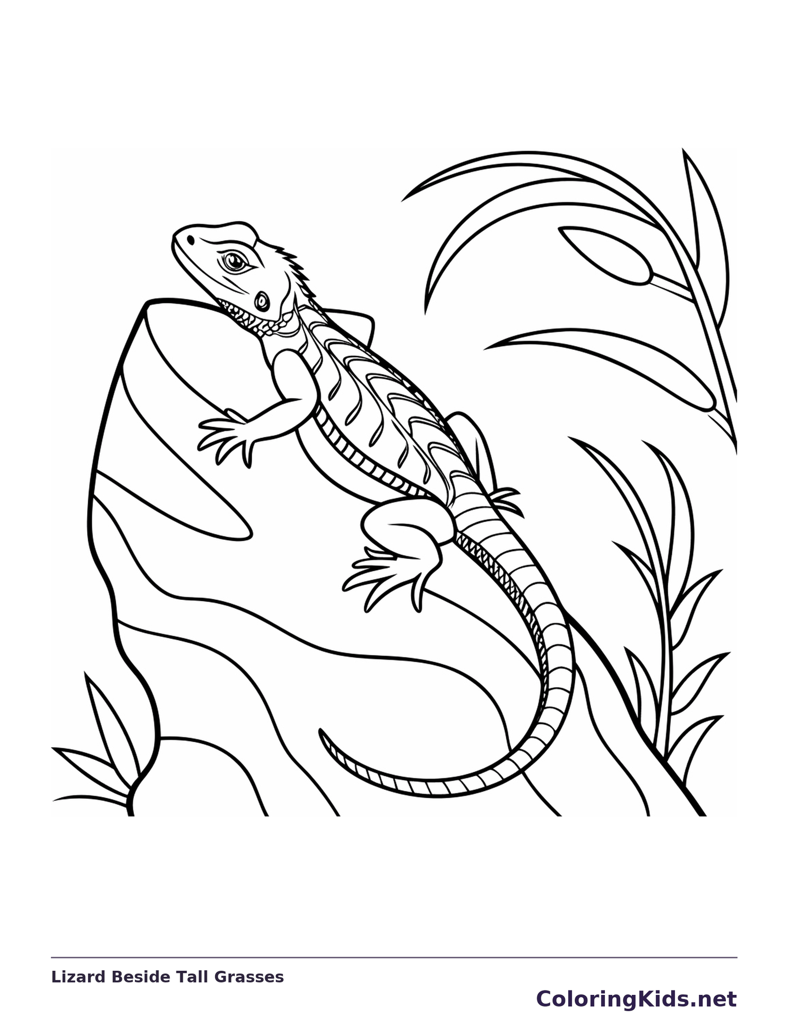 Lizard Beside Tall Grasses coloring page | ColoringKids.net