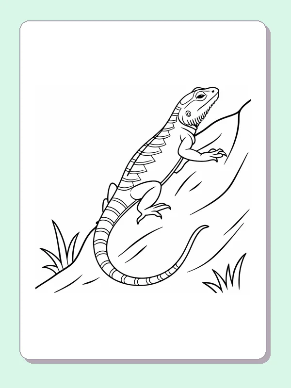 Black and white printable lizard curled along a trunk coloring sheet