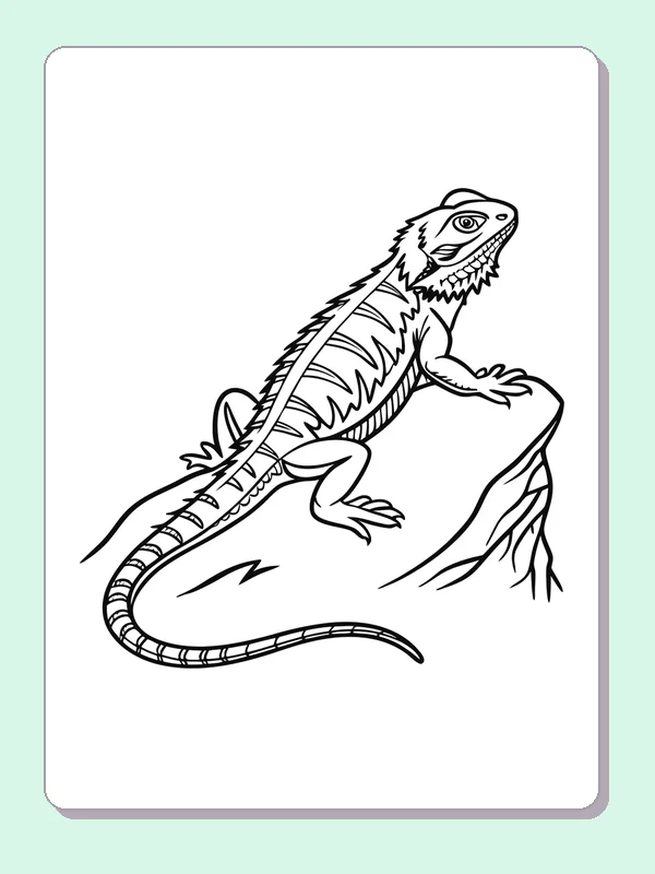 Black and white printable lizard looking up from a rock coloring sheet
