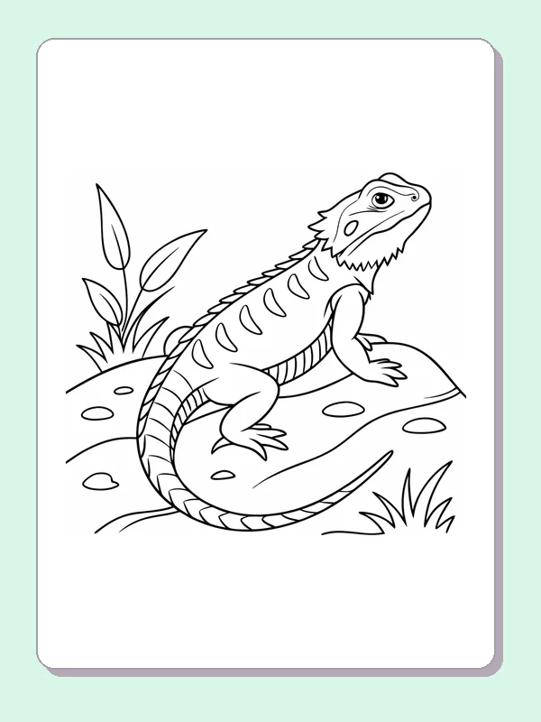Black and white printable lizard on a pebbled rock coloring sheet