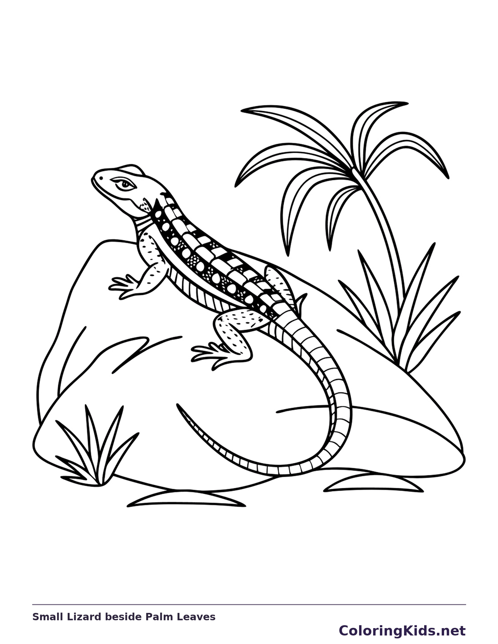 Black and white printable small lizard beside palm leaves coloring sheet