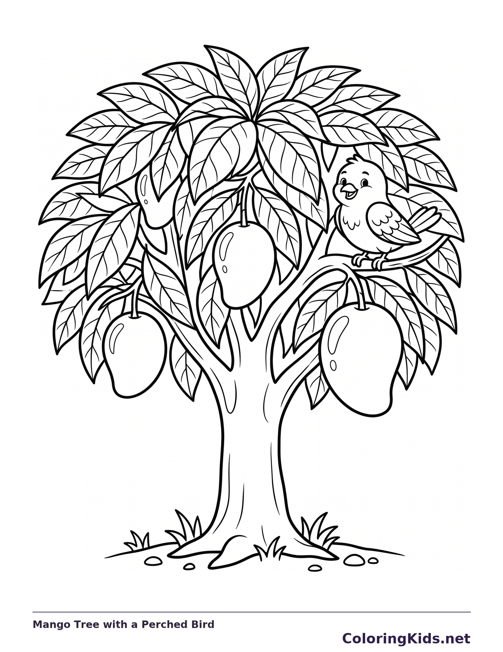 Leafy mango tree with three hanging fruits and a bird on a branch