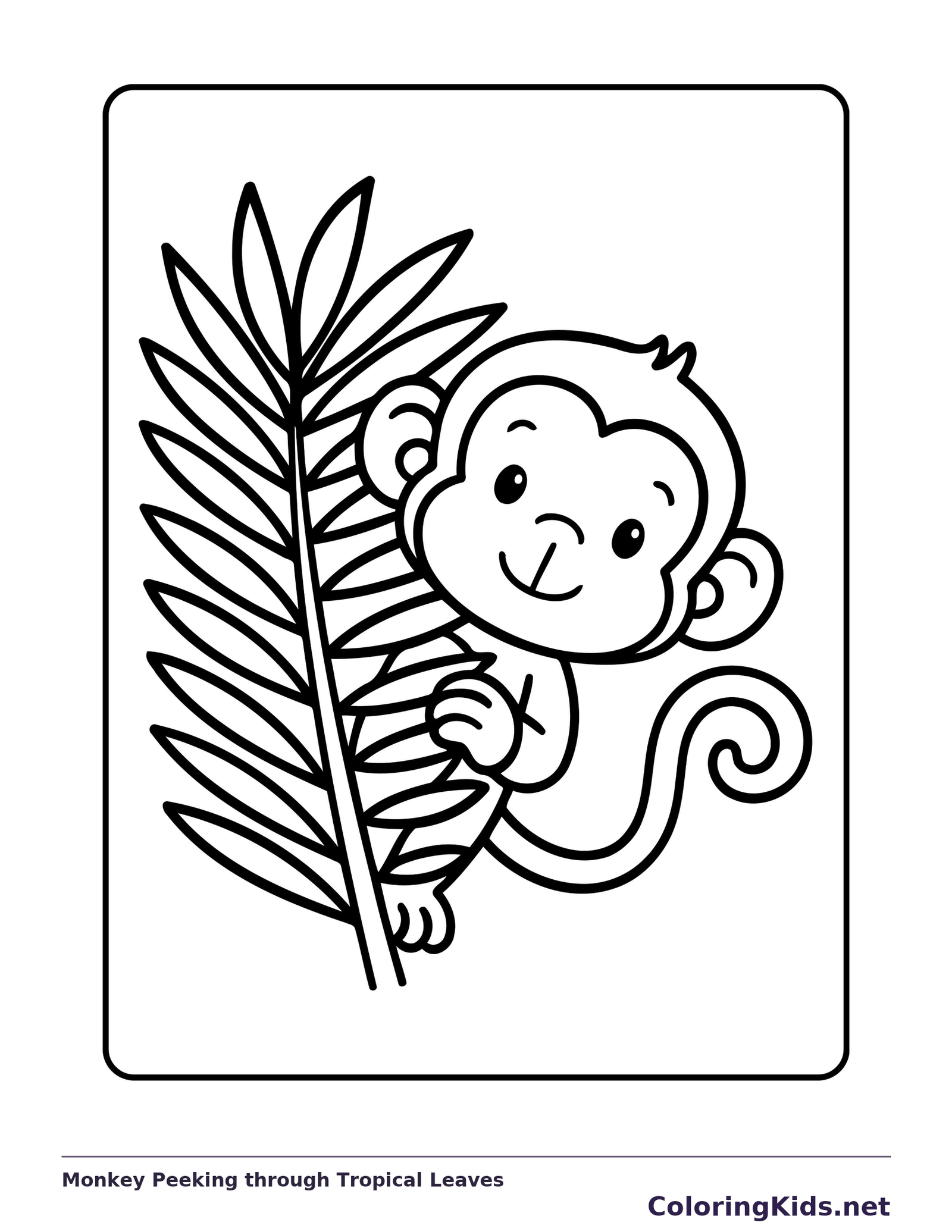 Monkey peeking around a tall palm frond with curled tail visible