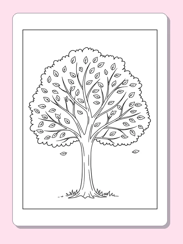Large autumn tree with many small leaves throughout its crown