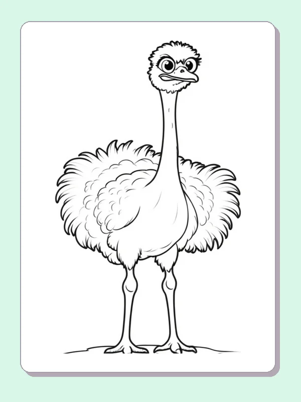 Black and white printable drawing of fluffy ostrich standing still