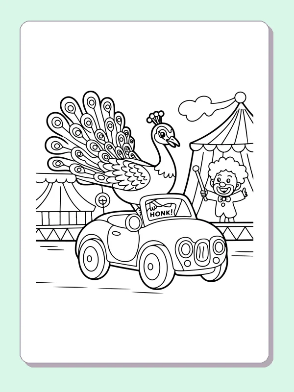 Black and white printable peacock riding in a honking car coloring sheet