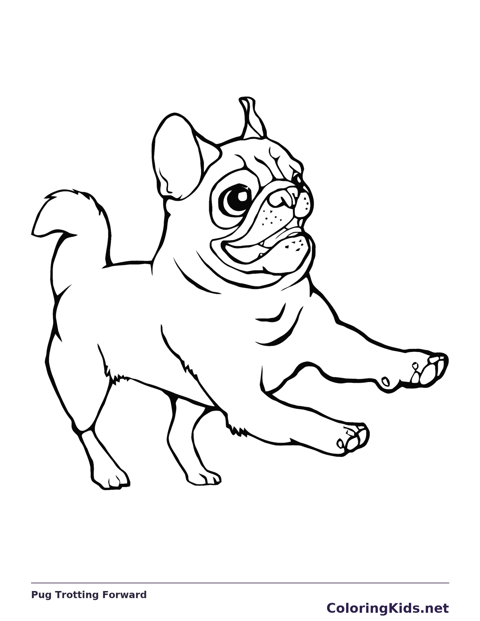 Black and white printable pug trotting forward coloring sheet