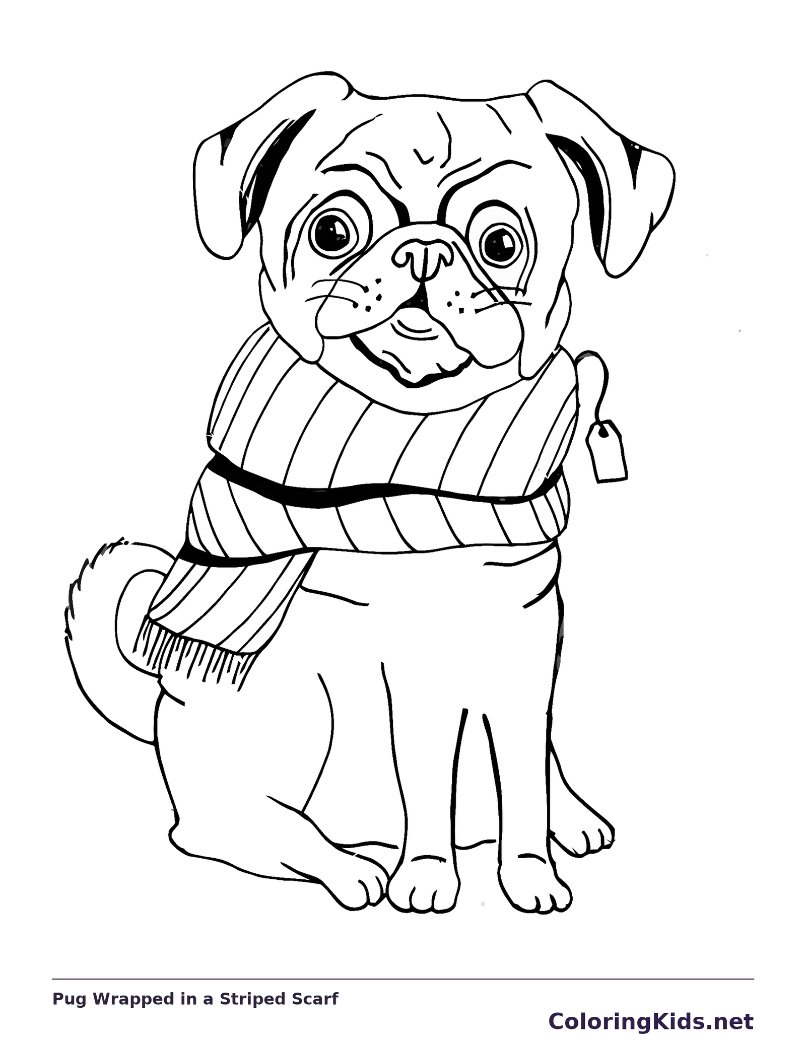 Black and white printable pug wrapped in a striped scarf coloring sheet
