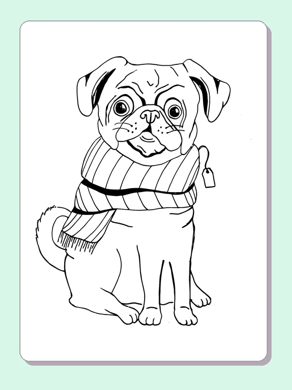 Black and white printable pug wrapped in a striped scarf coloring sheet