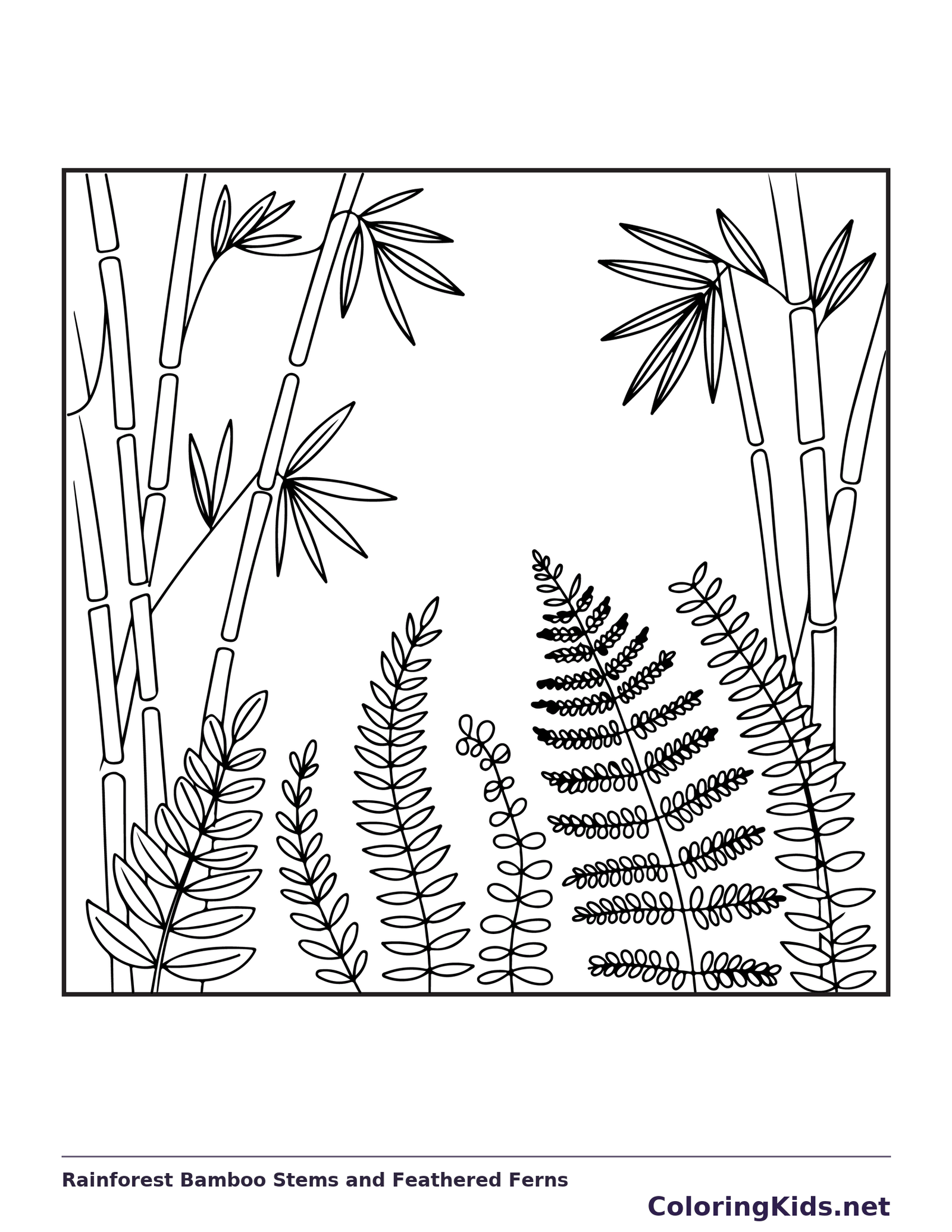 Black and white printable rainforest bamboo stems and feathered ferns coloring sheet