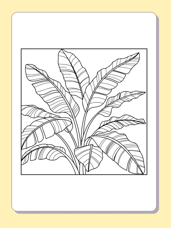 Black and white printable rainforest broad banana leaves coloring sheet