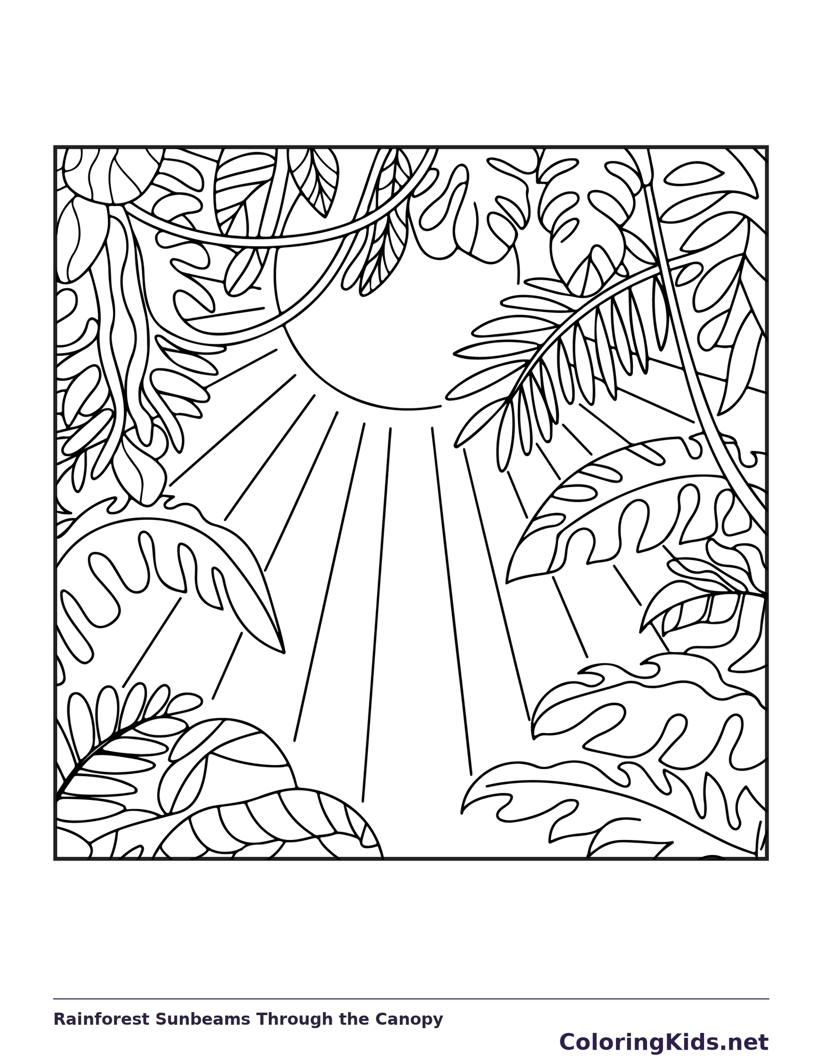 Black and white printable rainforest sunbeams through the canopy coloring sheet