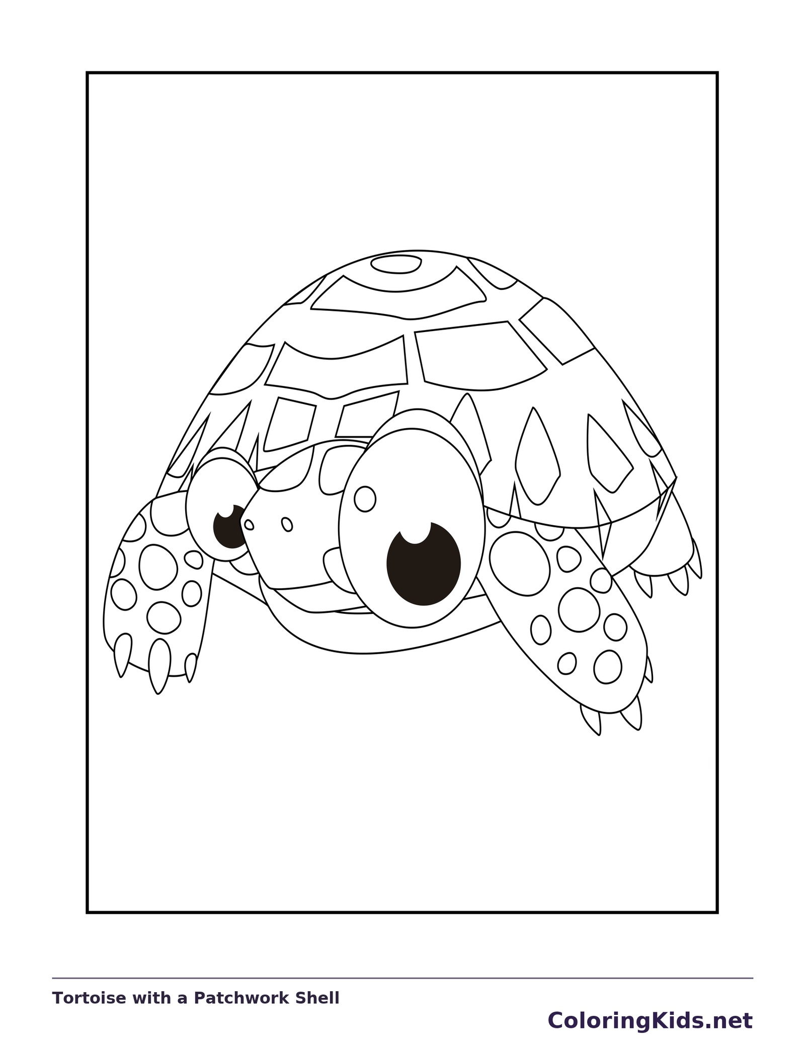 Black and white printable tortoise with a patchwork shell coloring sheet