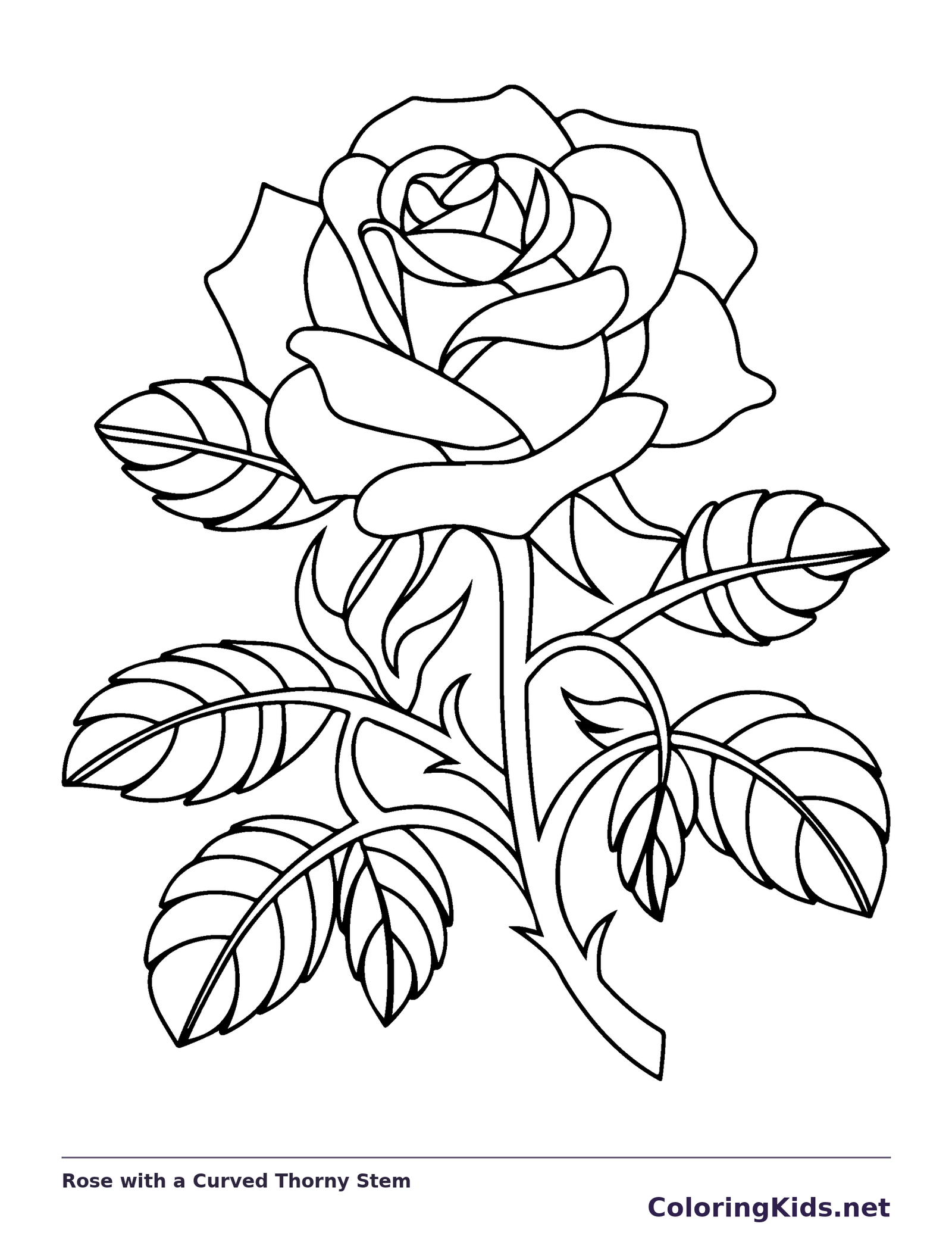 Black and white printable rose with a curved thorny stem coloring sheet