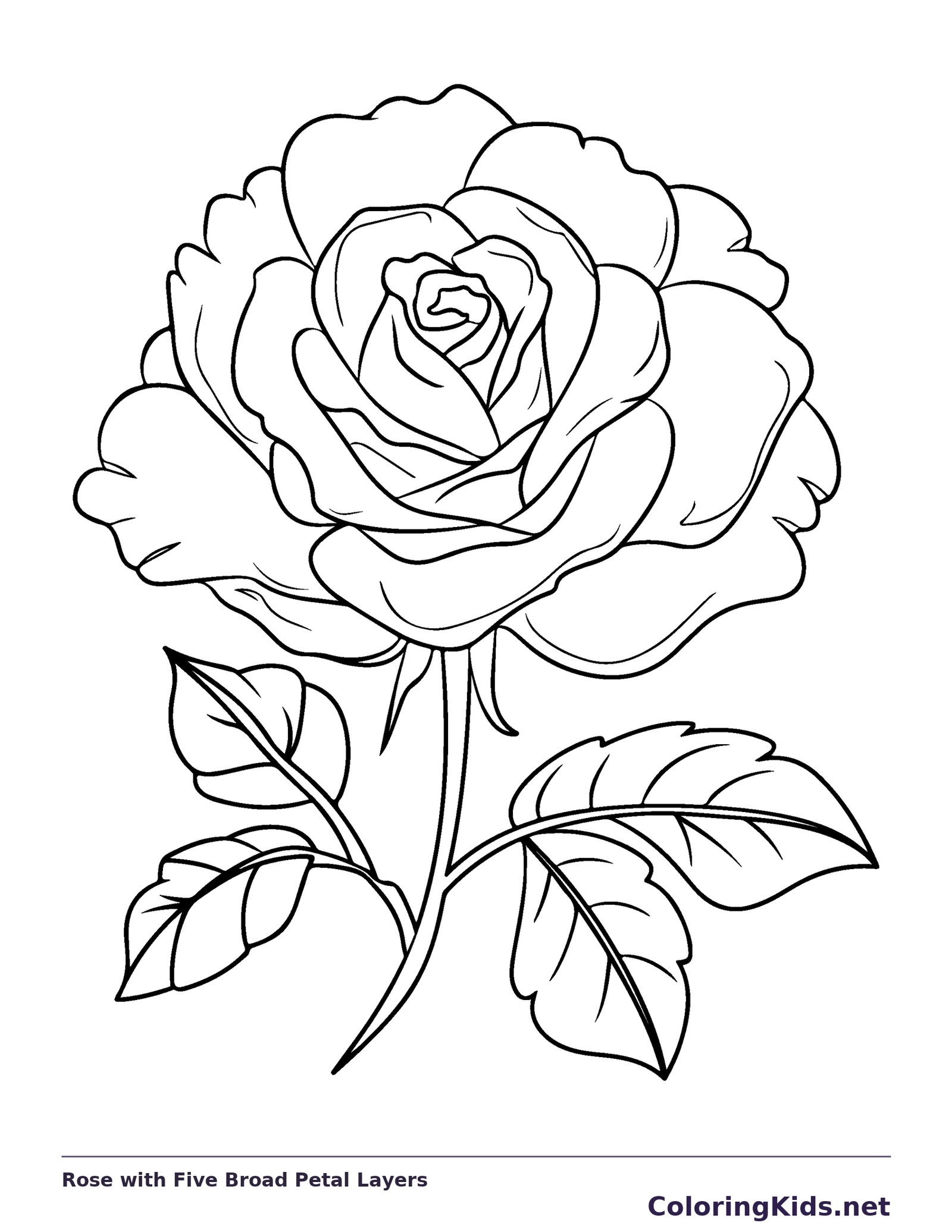 Black and white printable rose with five broad petal layers coloring sheet