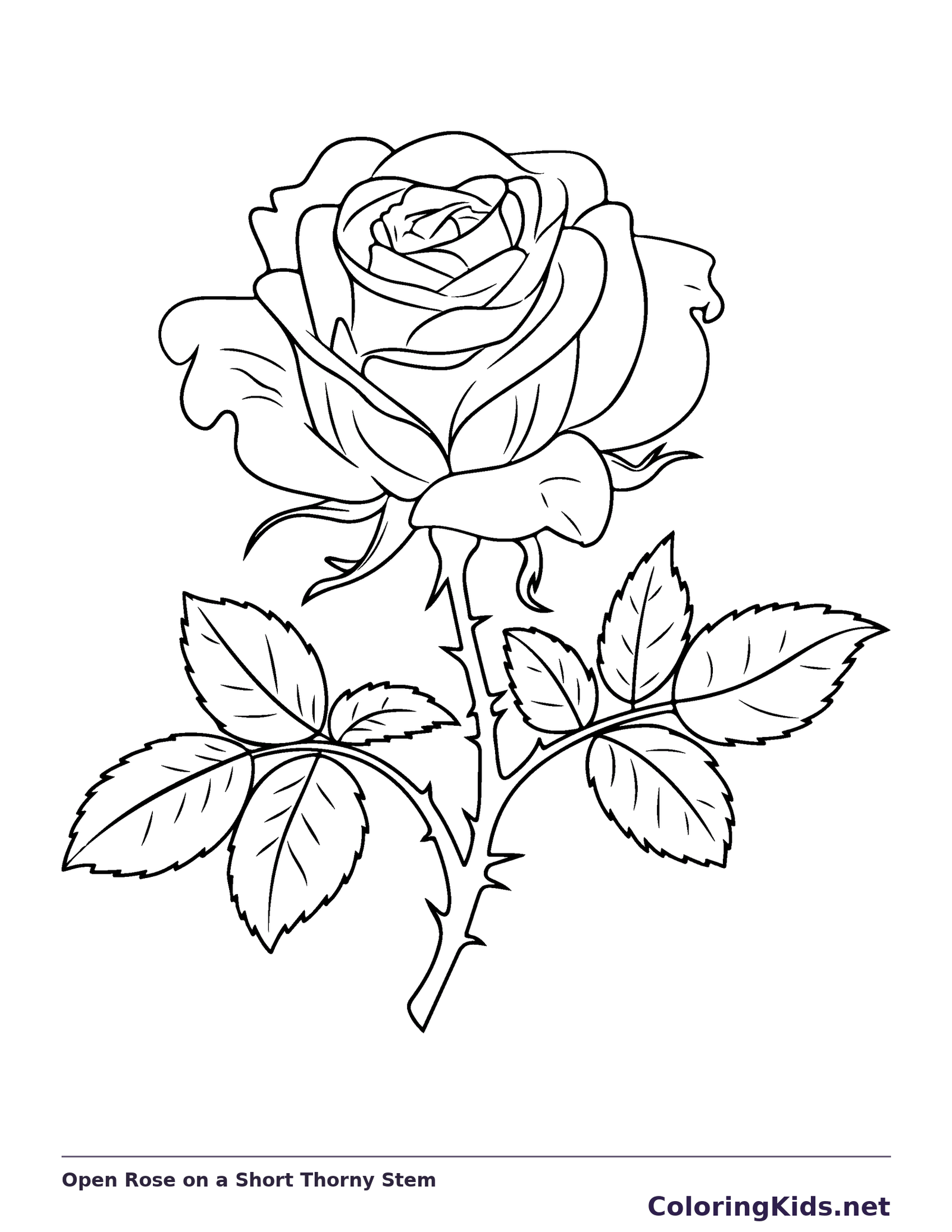 Black and white open rose on a short thorny stem coloring sheet