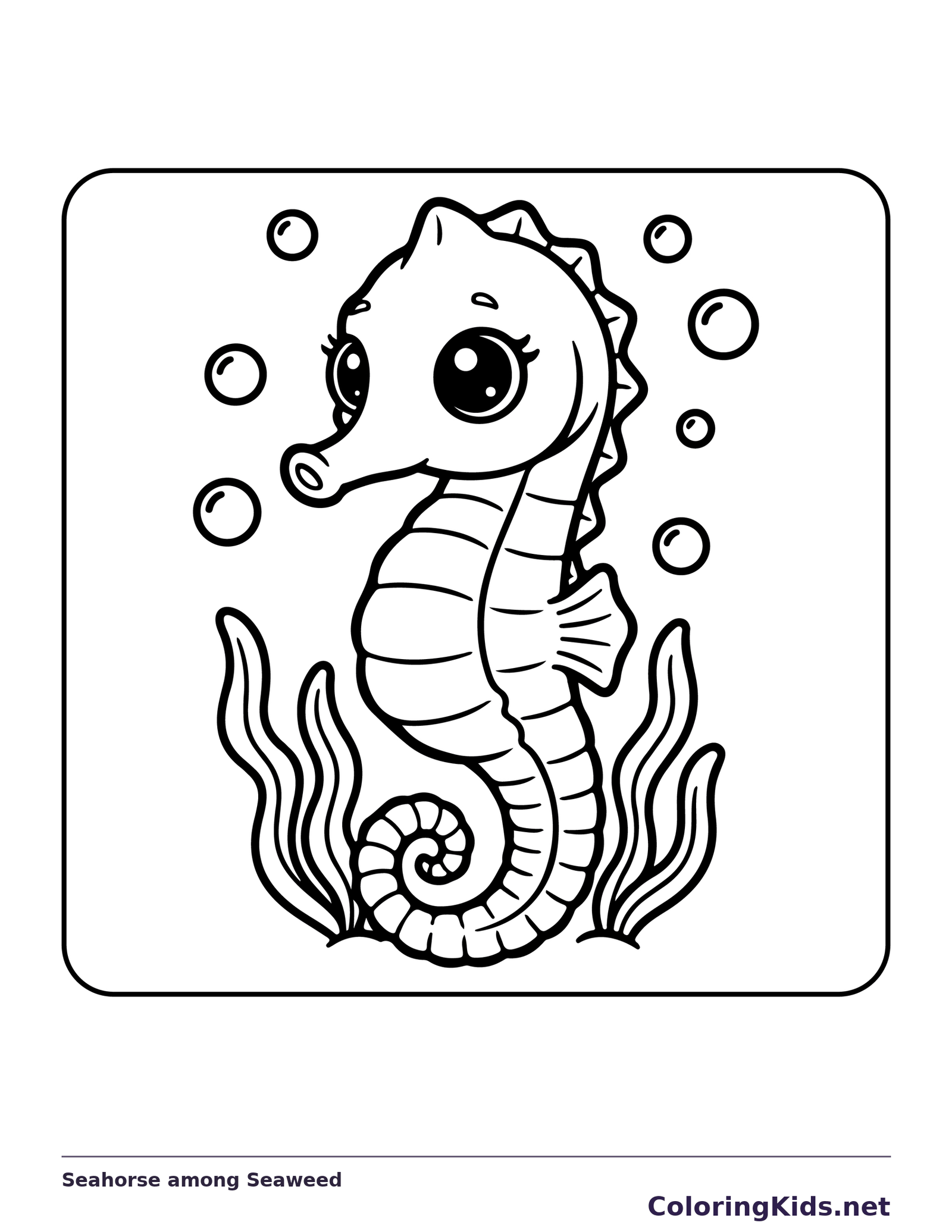 Black and white printable seahorse among seaweed coloring sheet