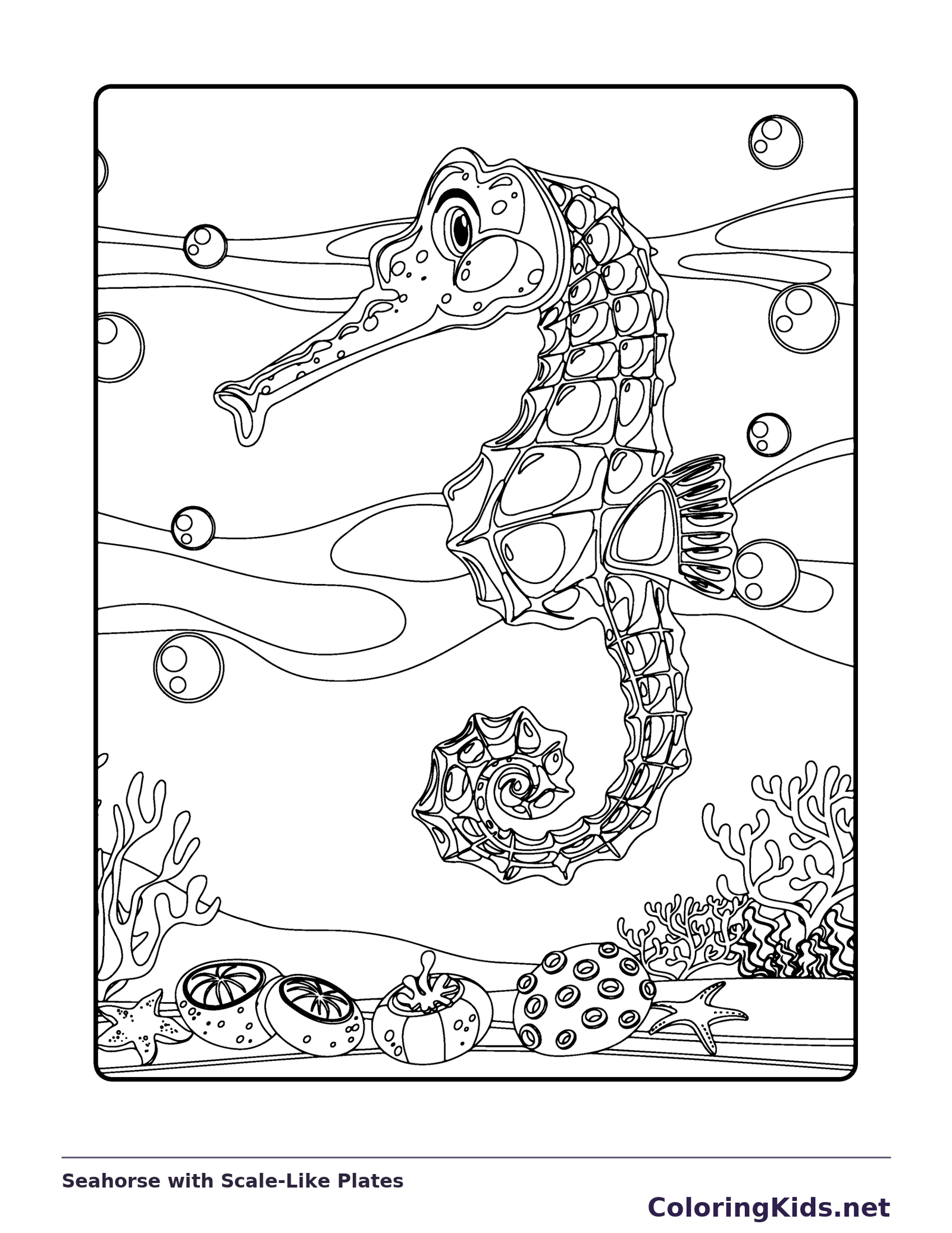 Ornate seahorse covered in irregular plate-like body sections