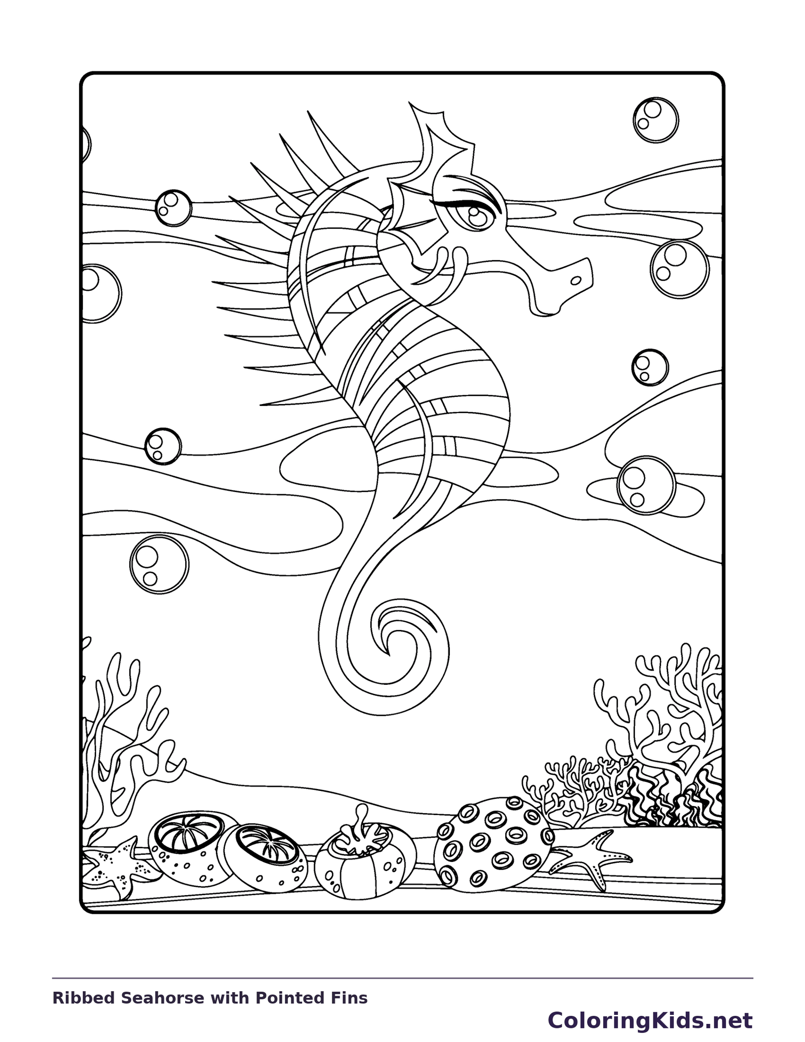 Seahorse with pointed fins and many narrow bands along its curved body