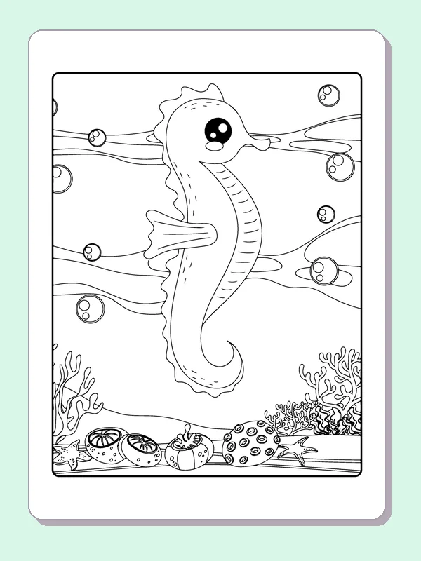 Slim long-snouted seahorse with striped belly above coral