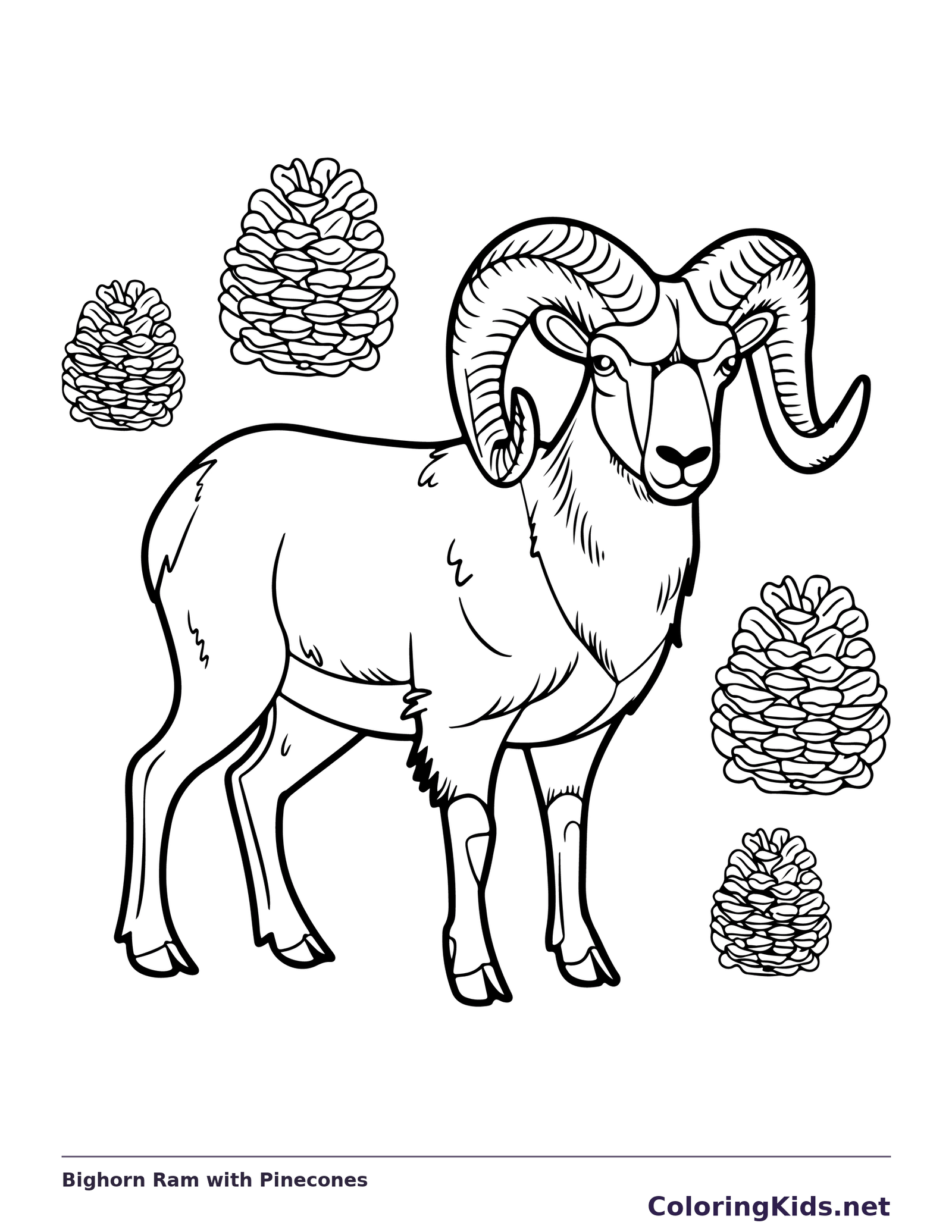 Bighorn ram with curled horns surrounded by large scaled pinecones