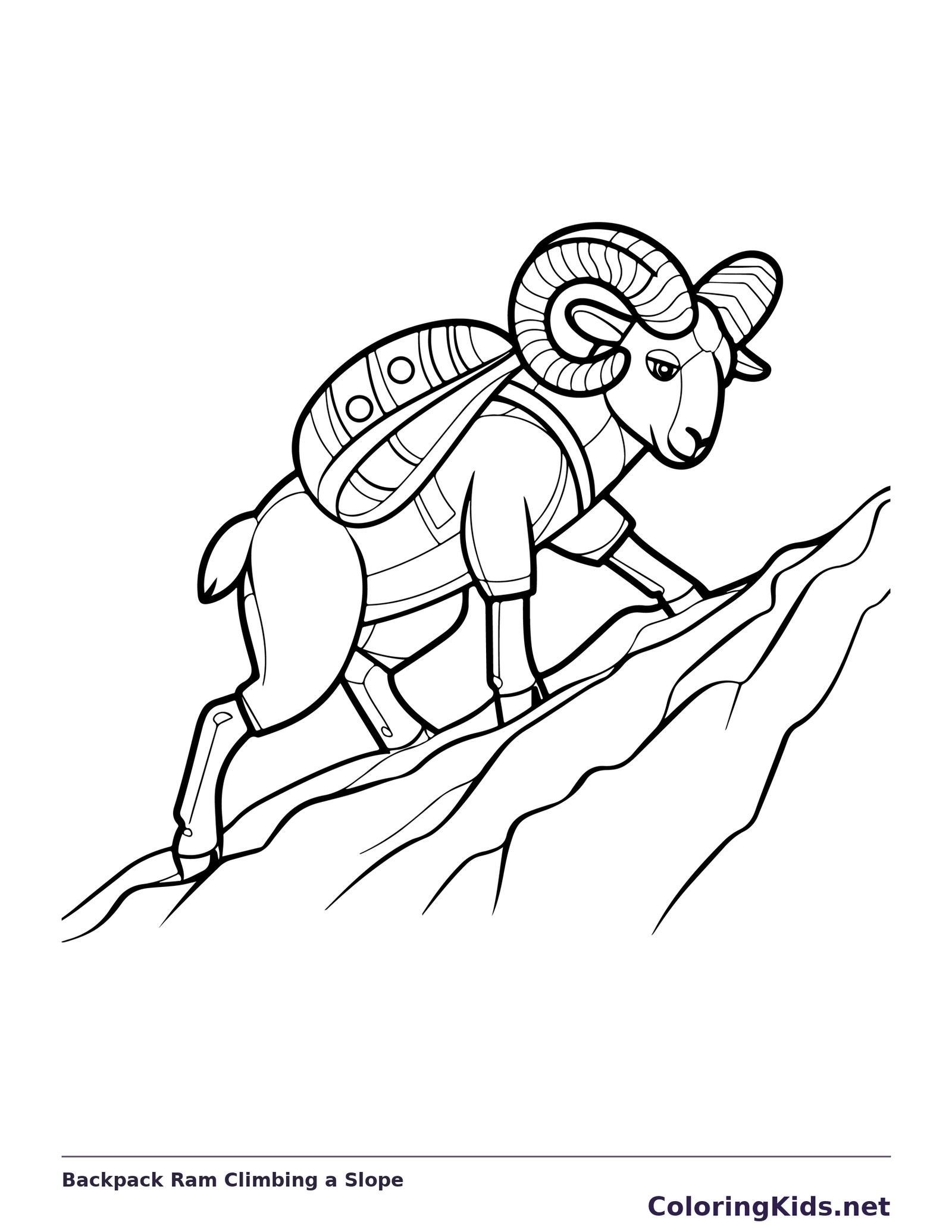 Bighorn ram with backpack climbing steep rocky mountain slope