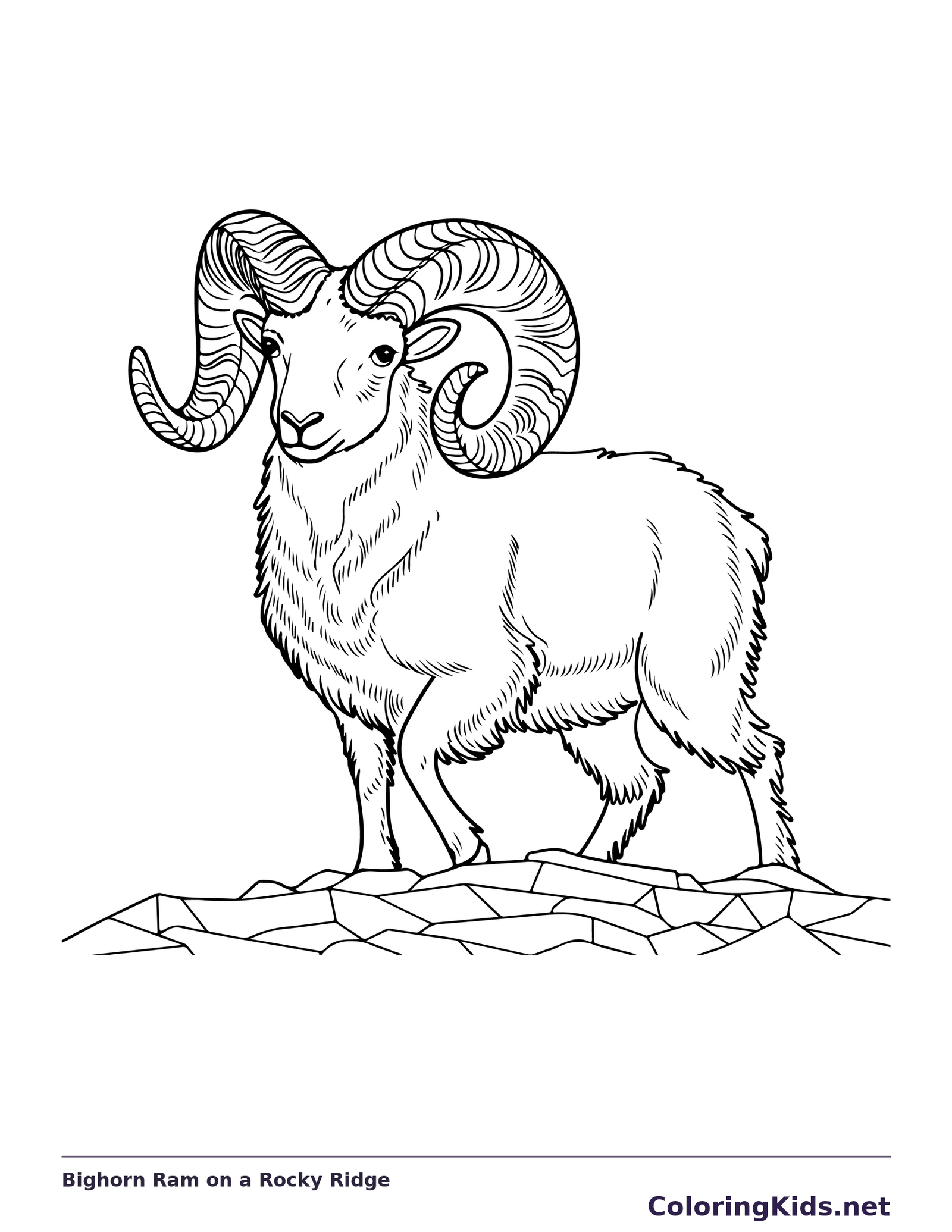 Bighorn ram standing with raised hoof on a rocky ridge