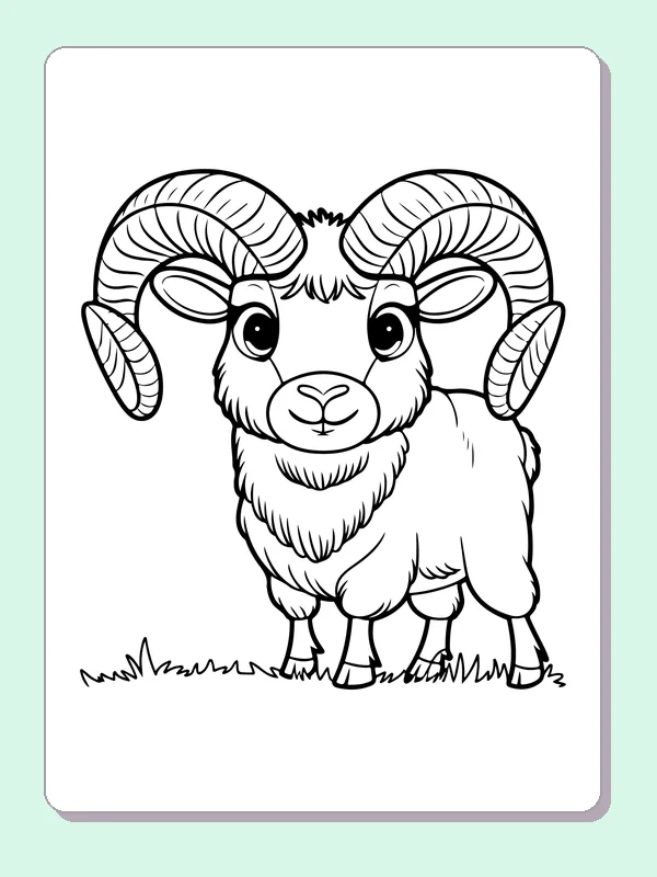 Young front-facing ram with oversized curled horns and shaggy chest