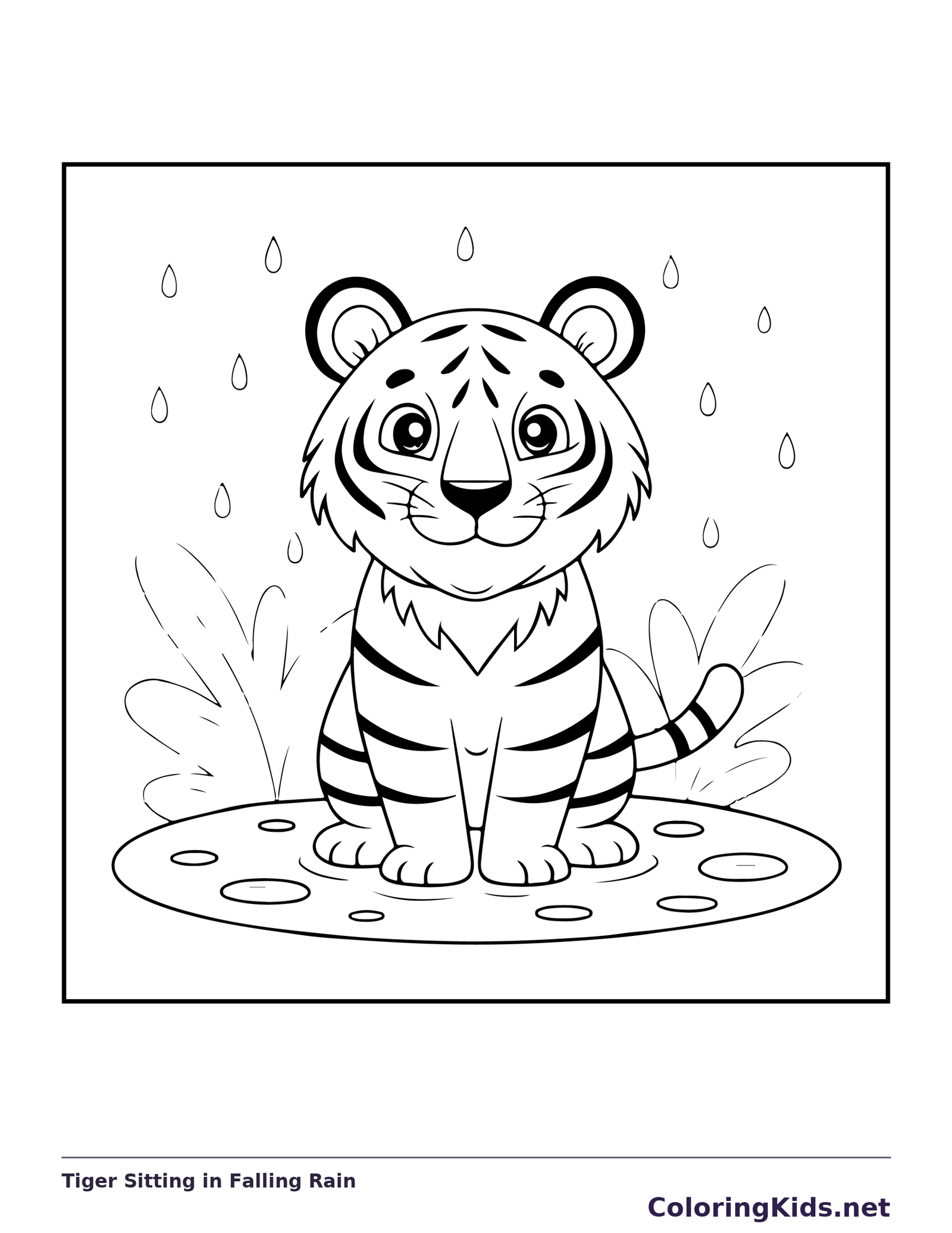Tiger cub sitting in a puddle beneath falling rain