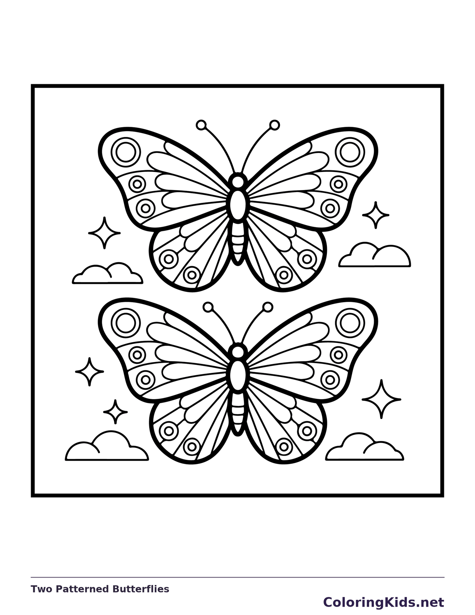 Two vertically arranged butterflies with mirrored patterned wings