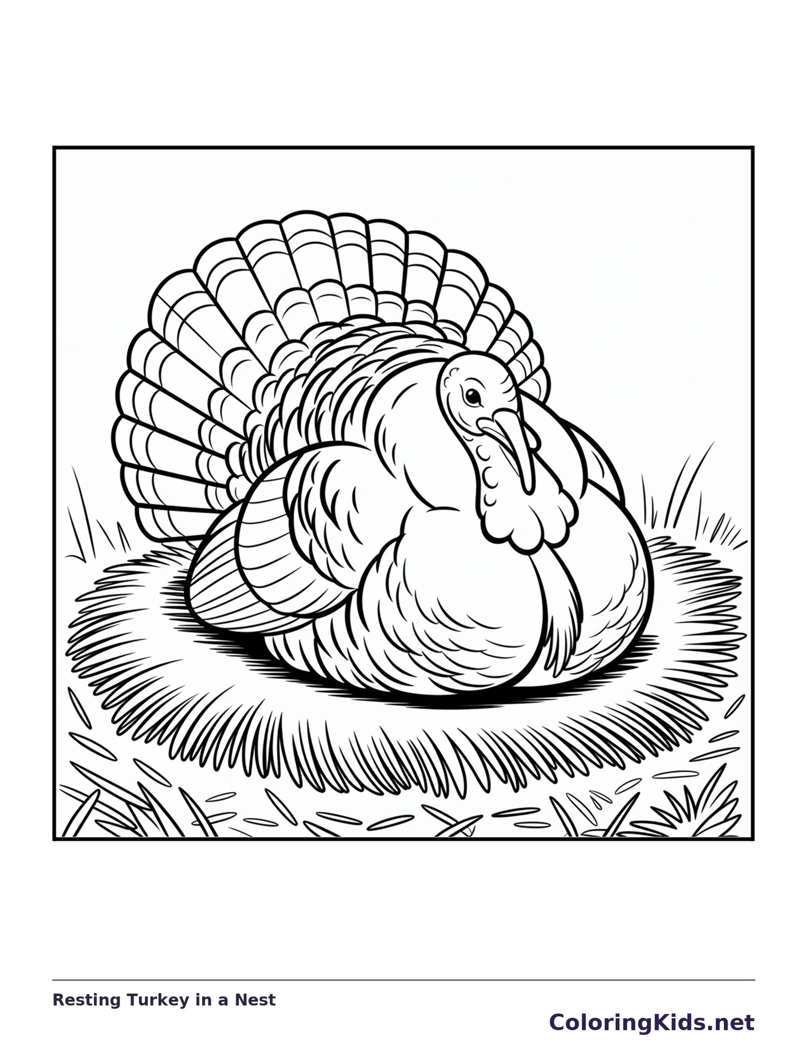 Black and white resting turkey in a nest coloring page with turkey feathers and fall details