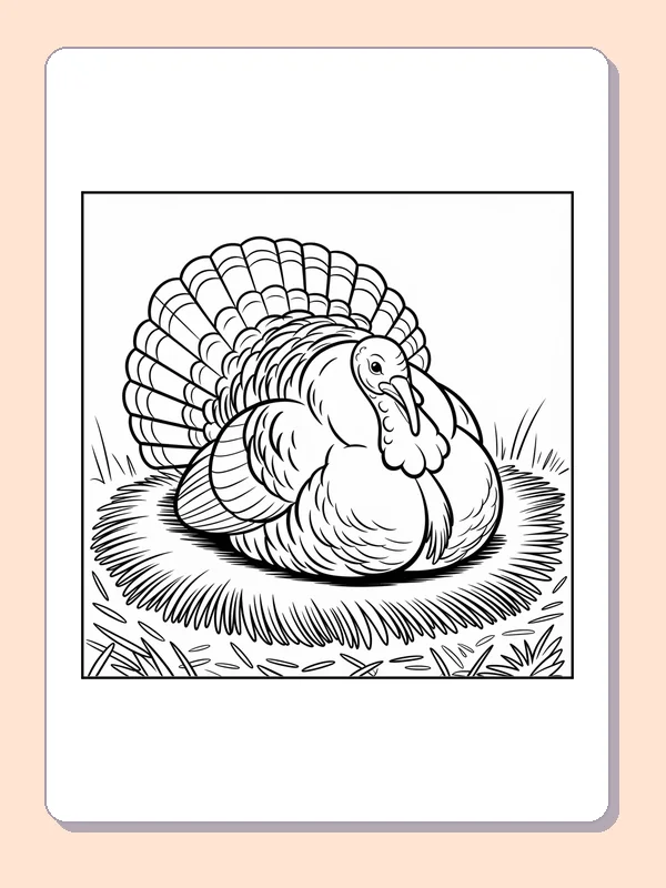 Black and white resting turkey in a nest coloring page with turkey feathers and fall details