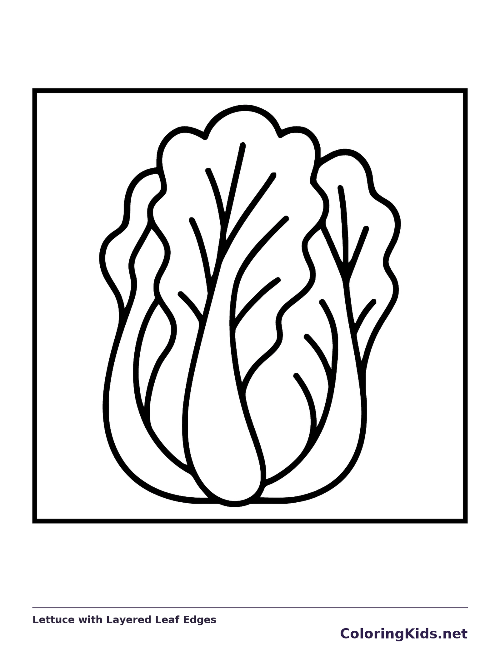 Lettuce with Layered Leaf Edges coloring page: black and white line art to print or color online