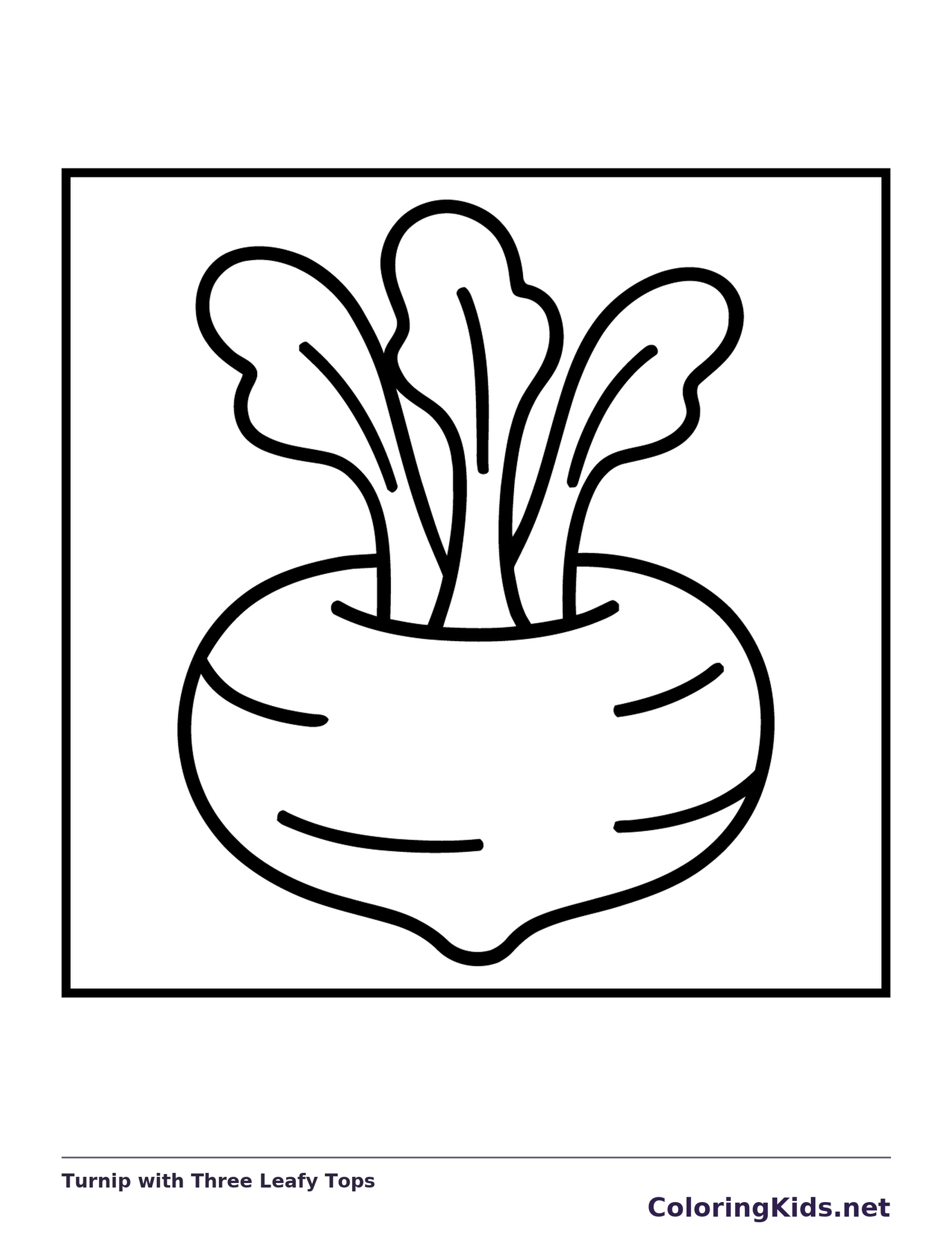 Turnip with Three Leafy Tops coloring page: black and white line art to print or color online
