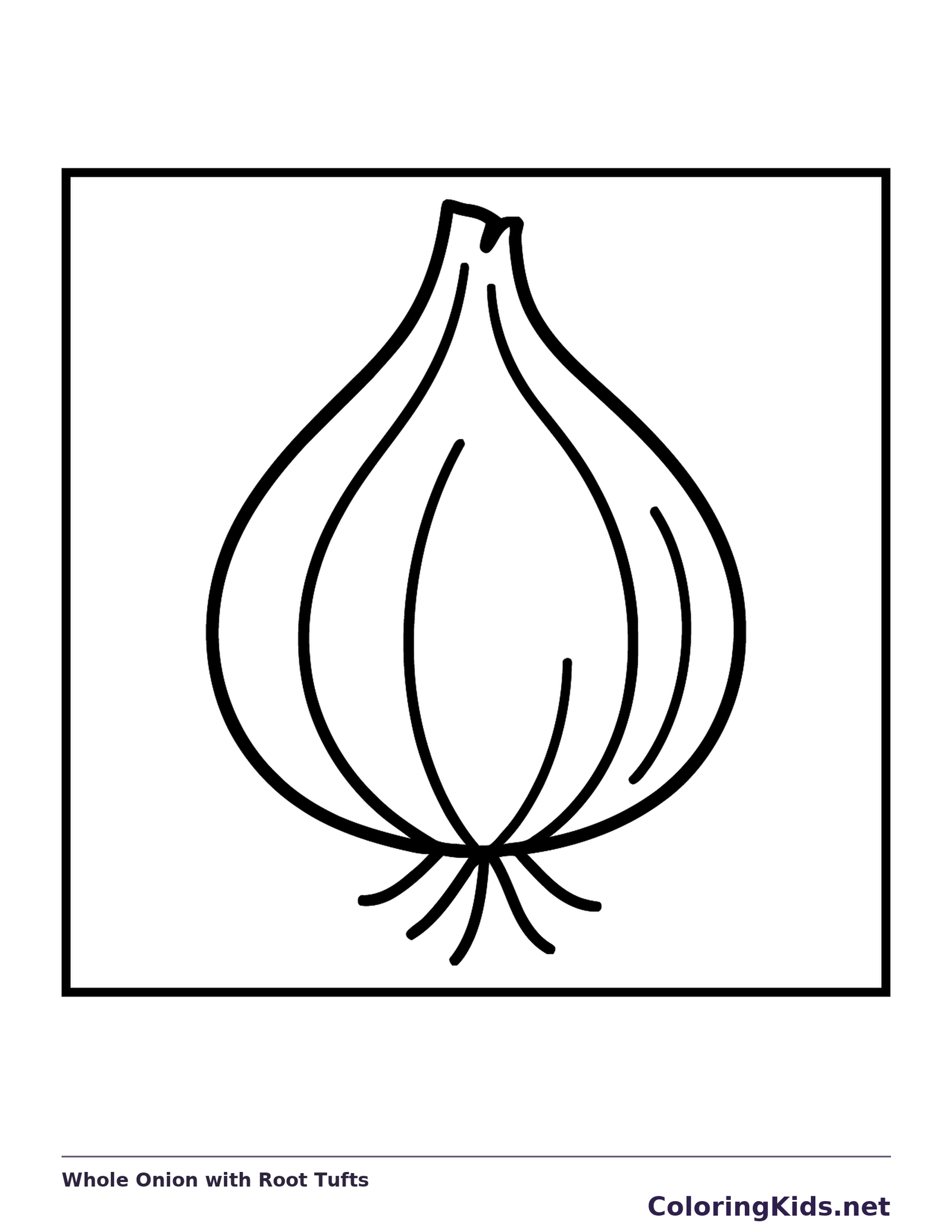 Whole Onion with Root Tufts coloring page: black and white line art to print or color online
